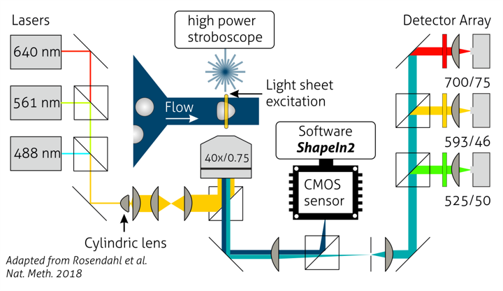 Optical schematic of the FluorescenceModule showing excitation lasers (488 nm, 561 nm, 640 nm), cylindrical lens for light-sheet generation, microfluidic channel, detector array and CMOS sensor integrated with RT-DC.