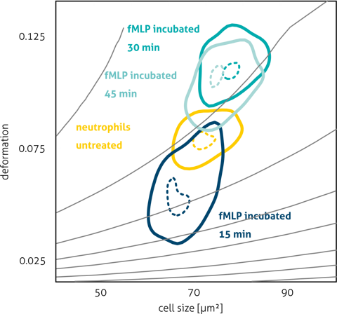 High measurement rates and fast sample preparation allow for observation of kinetic processes. The plot below shows the change of mechanical properties when neutrophil granulocytes from freshly drawn blood are exposed to formyl-methionyl-leucyl-phenylalanin (fMLP). The tripeptide fMLP is released by many bacteria and signals an infection to cells of the immune system.