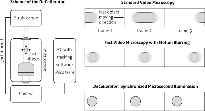 Diagram showing how synchronized microsecond LED flashes eliminate motion blur in high-speed video microscopy compared to conventional imaging.