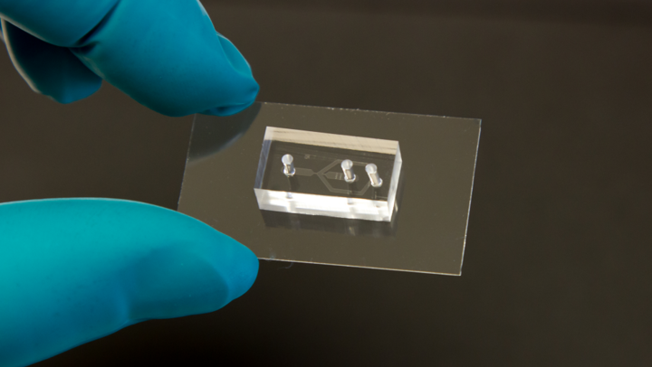 FlicXX glass-PDMS microfluidic chip for controlled hydrodynamic cell deformation