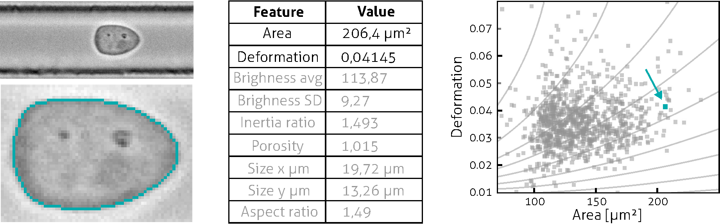 Processing pipeline illustrating how high-speed brightfield images of single cells are segmented to extract quantitative mechanical parameters such as area and deformation, which are mapped into a population-level scatter plot.